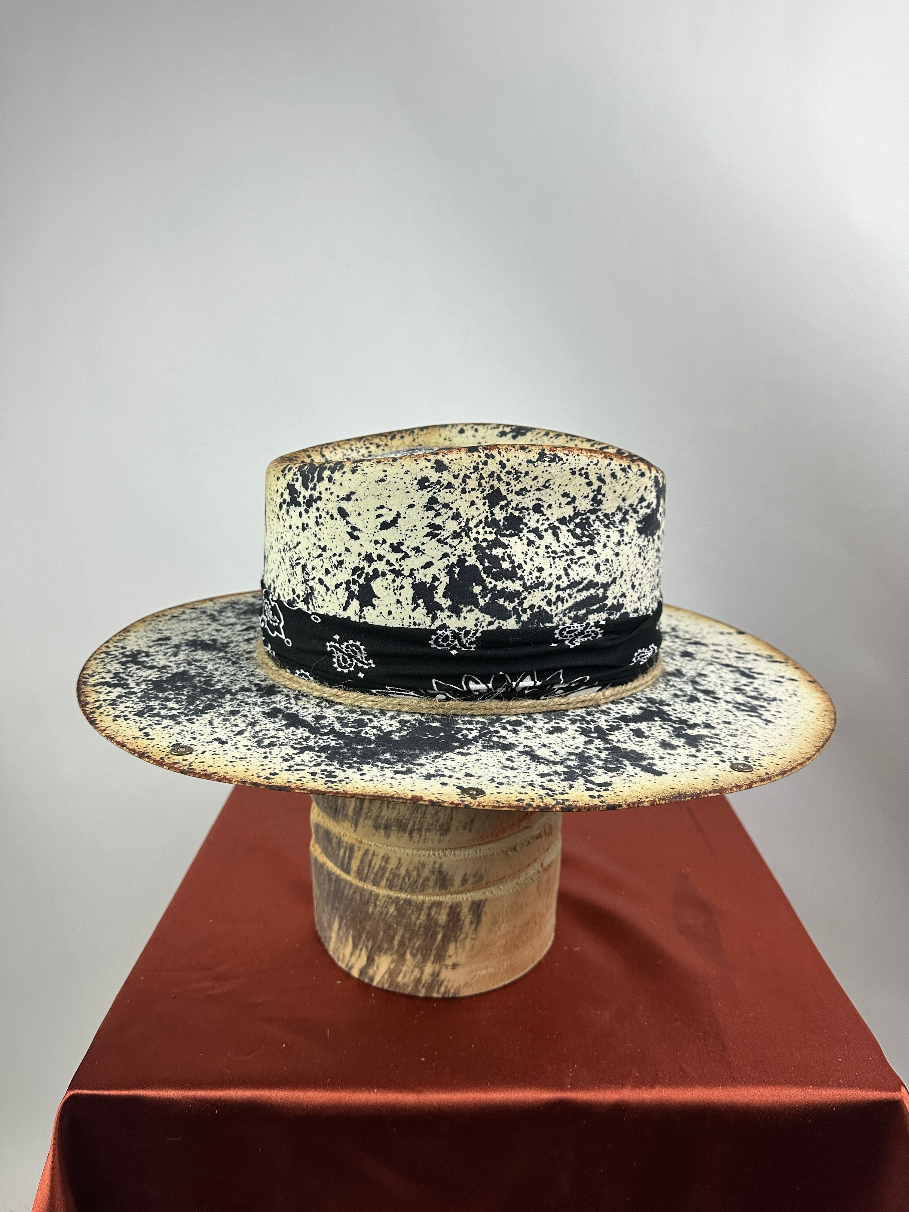 Paint Horse Black Road Warrior