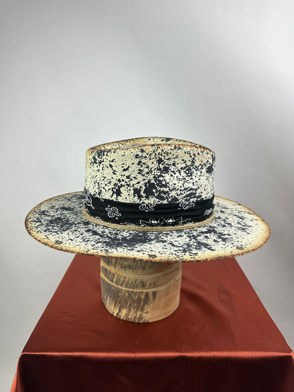 Paint Horse Black Road Warrior