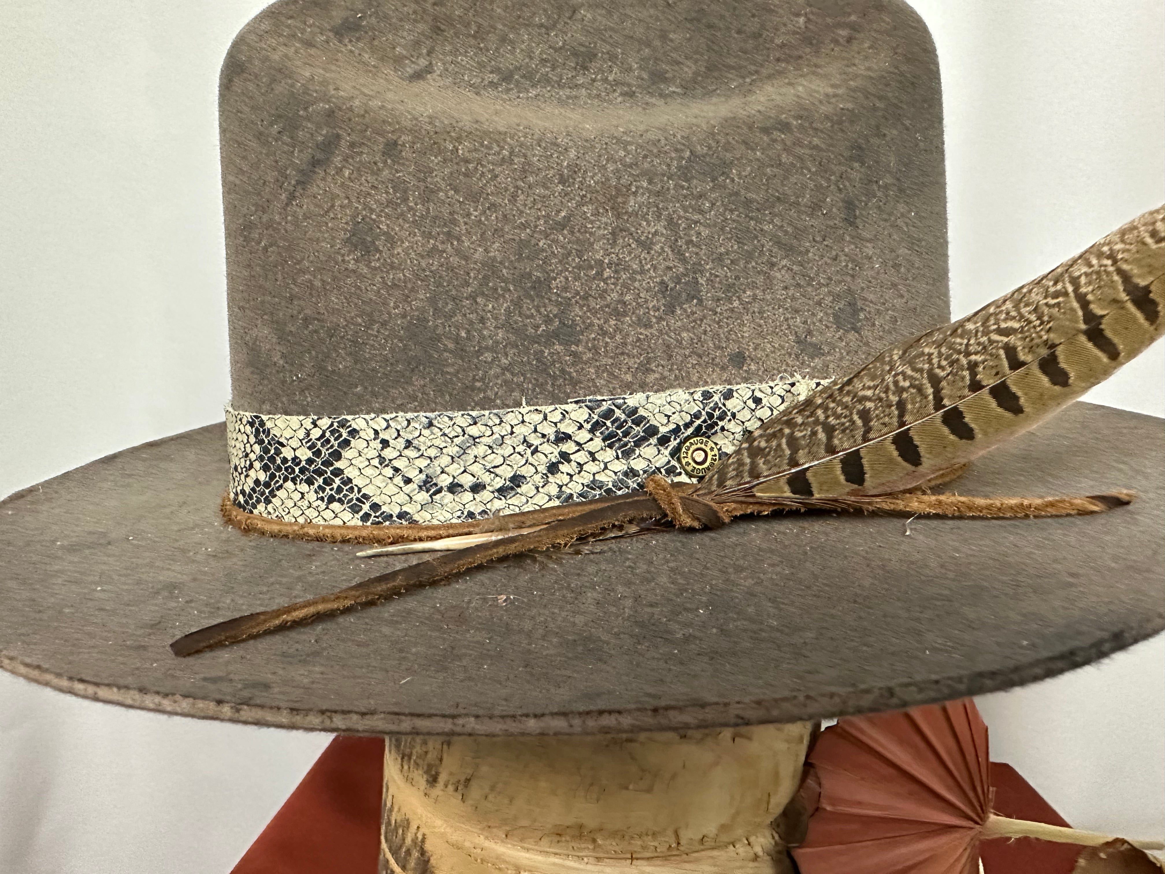 Hard Road Black And Snake