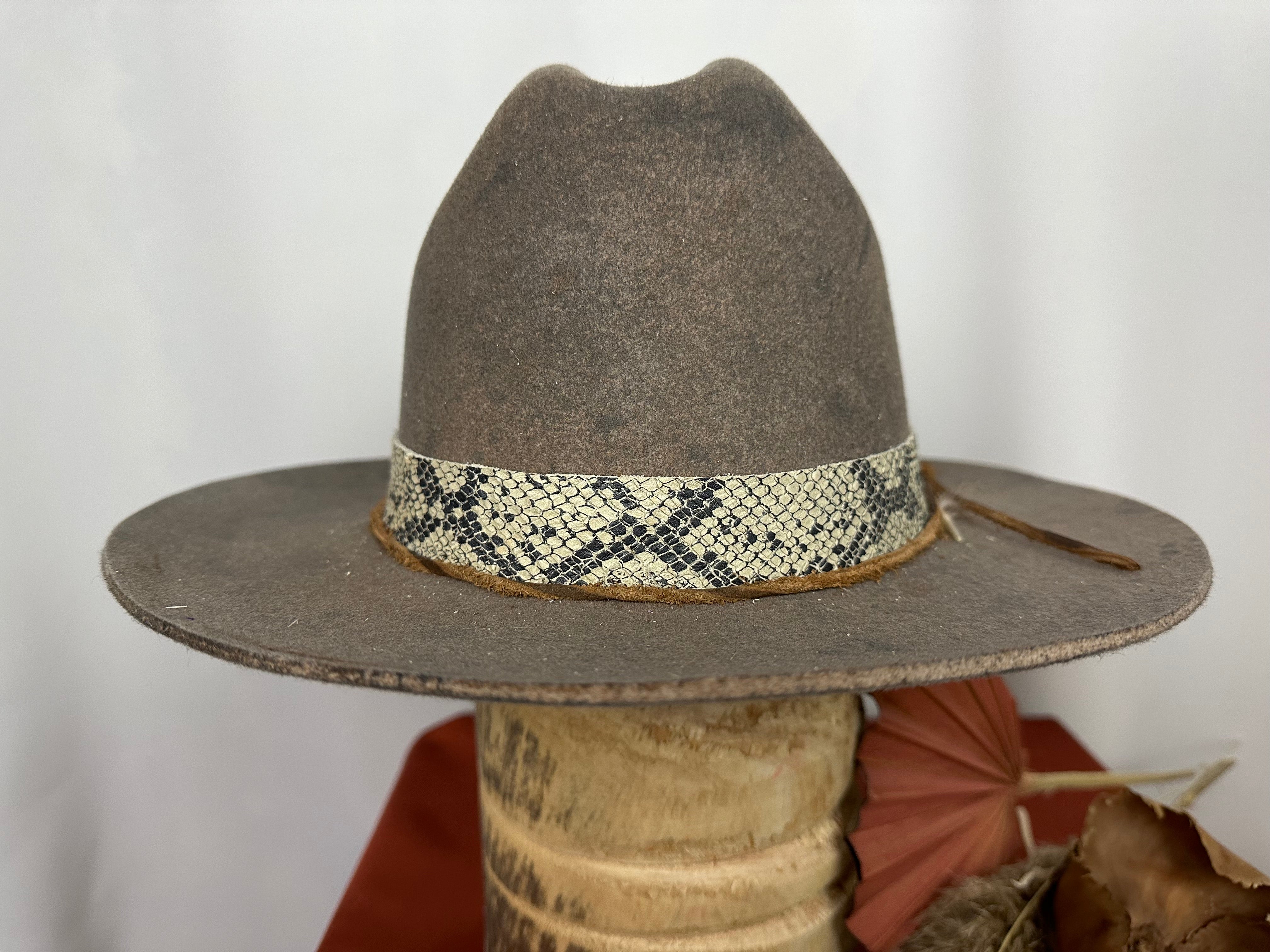 Hard Road Black And Snake