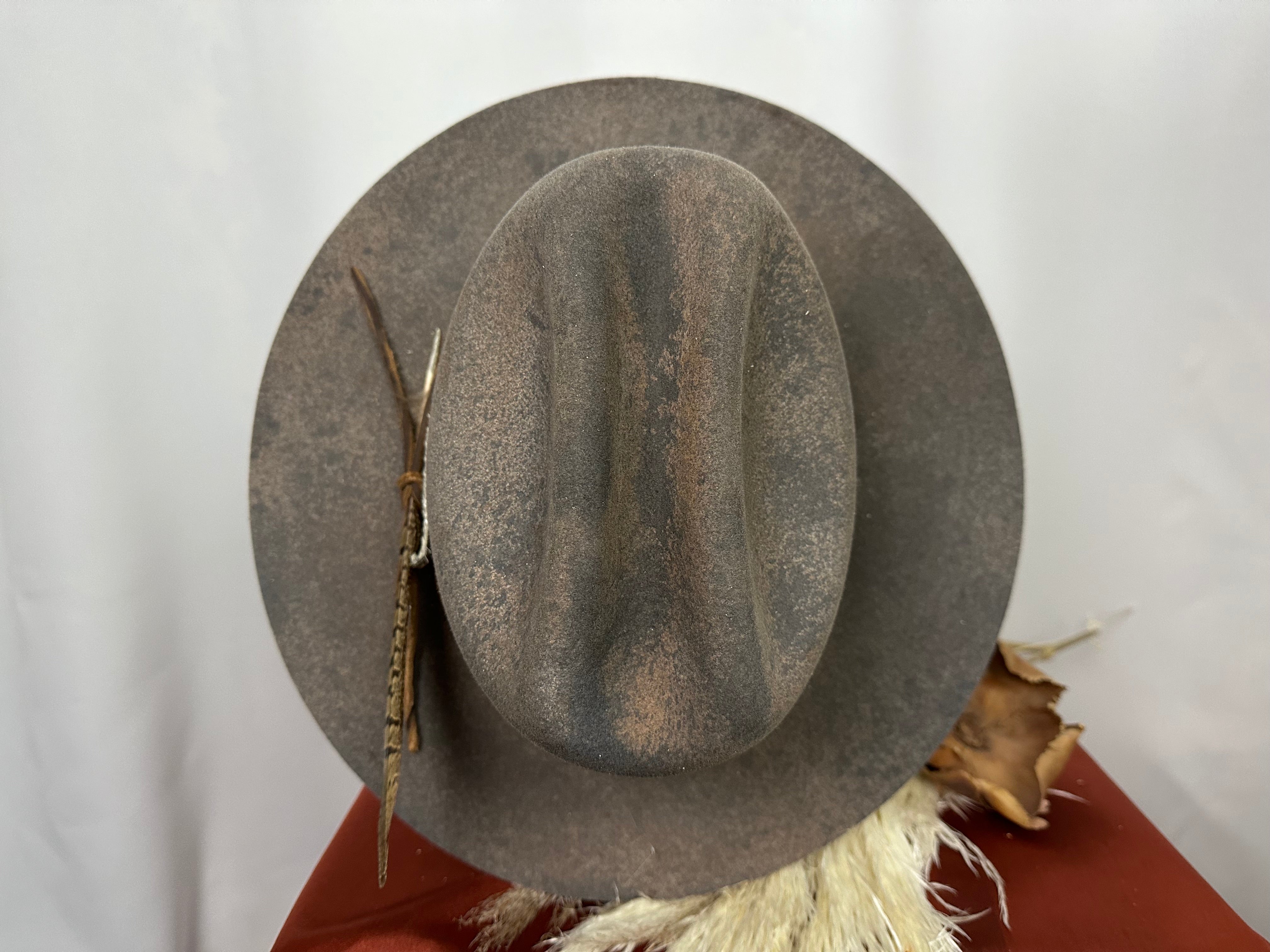 Hard Road Black And Snake