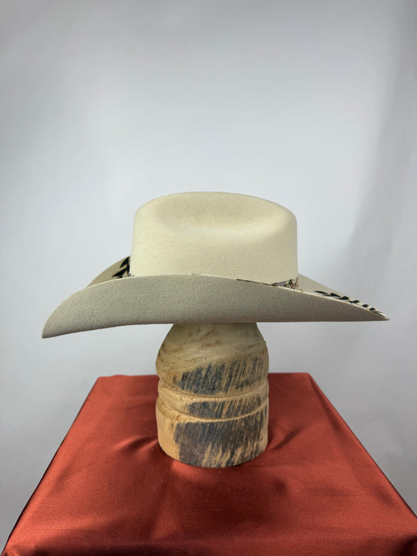 Artist Edition XXV Western